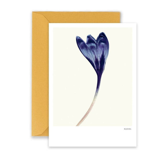 Kaart Crocus 01