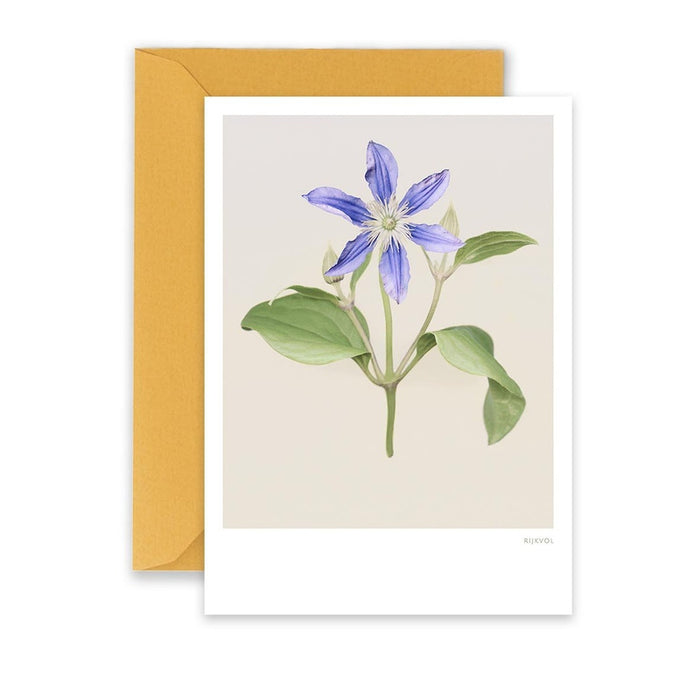 Carte Clematis 01