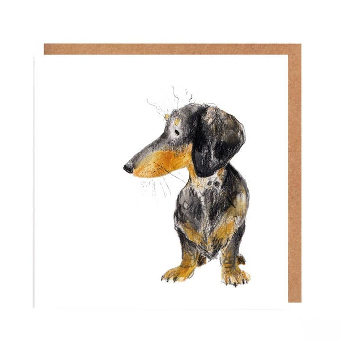 Map Otto Dachshund | Dachshund