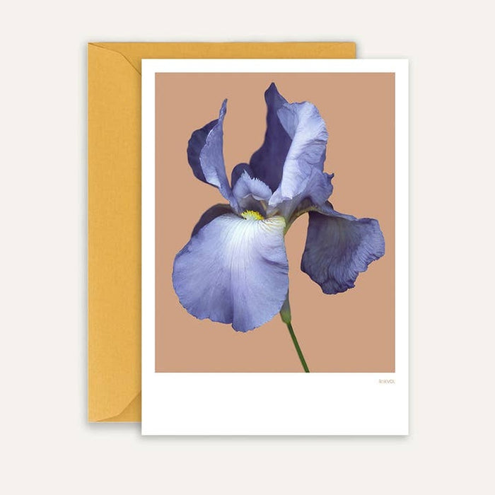 Map Bearded Iris 01 | Beige