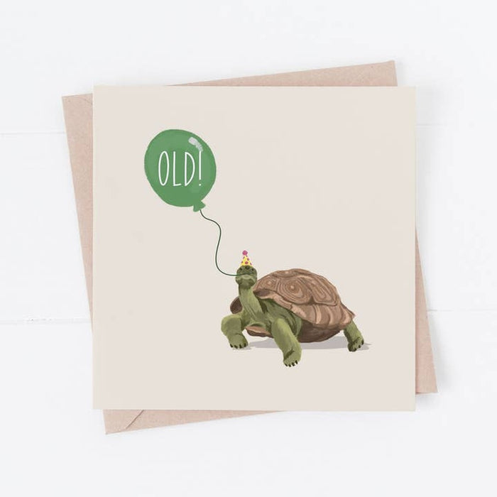 Carte ancienne | Tortue