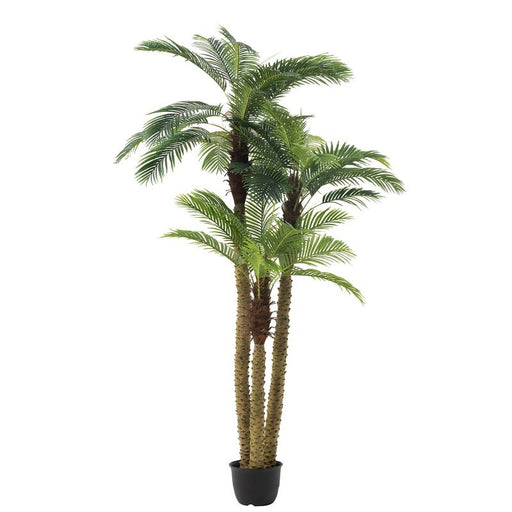 J-Line Palmboom 3D In Pot | Plastic Groen | 175x180x300cm Krossproducts | De online winkel voor hebbedingetjes