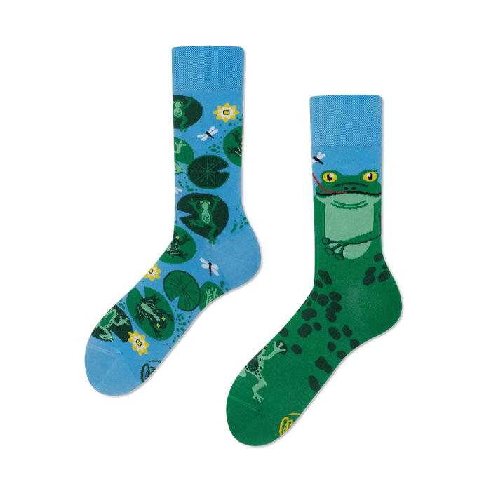 Beaucoup de chaussettes de matins grenouille grenouille