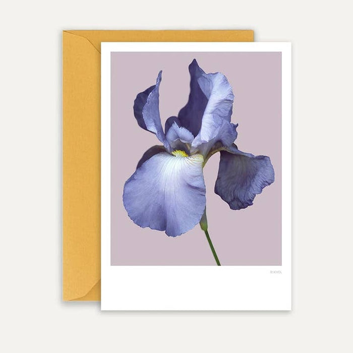 Carte Barded Iris 01