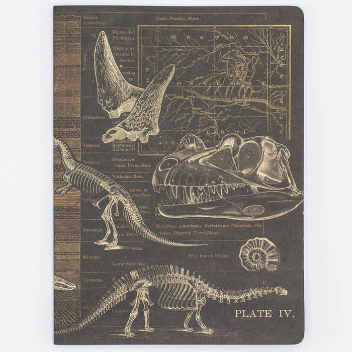 Taccuino Dinosaurus Softcover