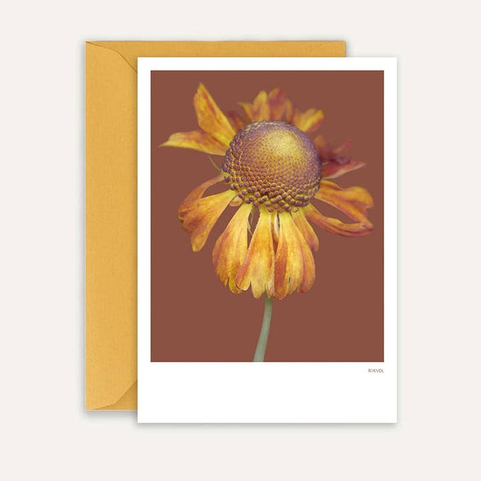 Map Helenium 01