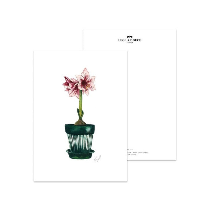 Postcard Amaryllis | An envelope