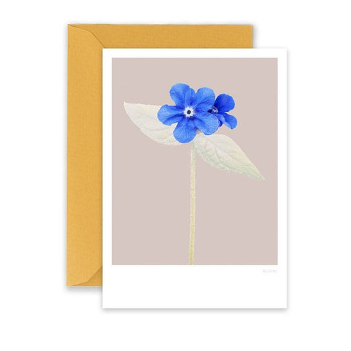 Kaart Forget-Me-Not Krossproducts | De online winkel voor hebbedingetjes