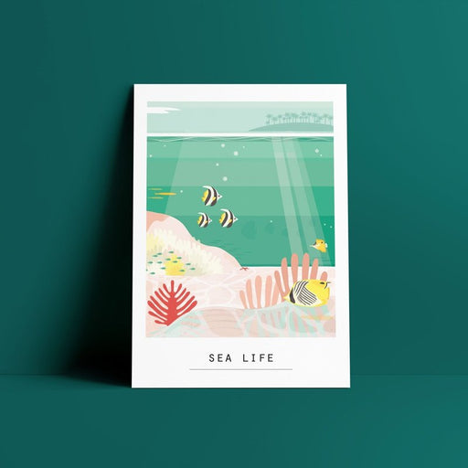 Kaart Sea Life Krossproducts | De online winkel voor hebbedingetjes