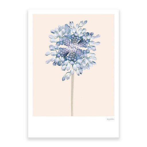 Kaart Flower Collage 03 Krossproducts | De online winkel voor hebbedingetjes