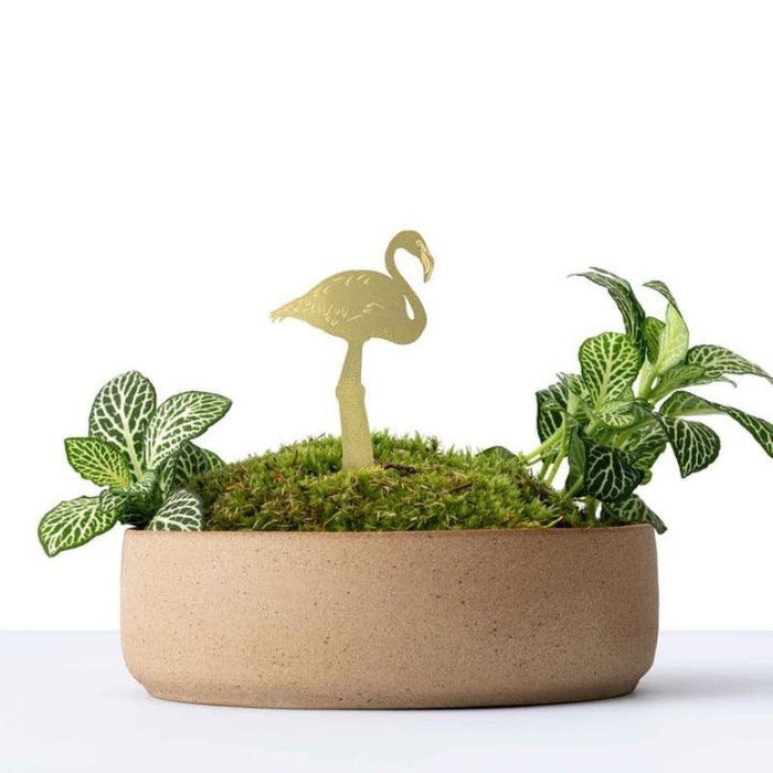 Planten Diertje Flamingo Krossproducts | De online winkel voor hebbedingetjes